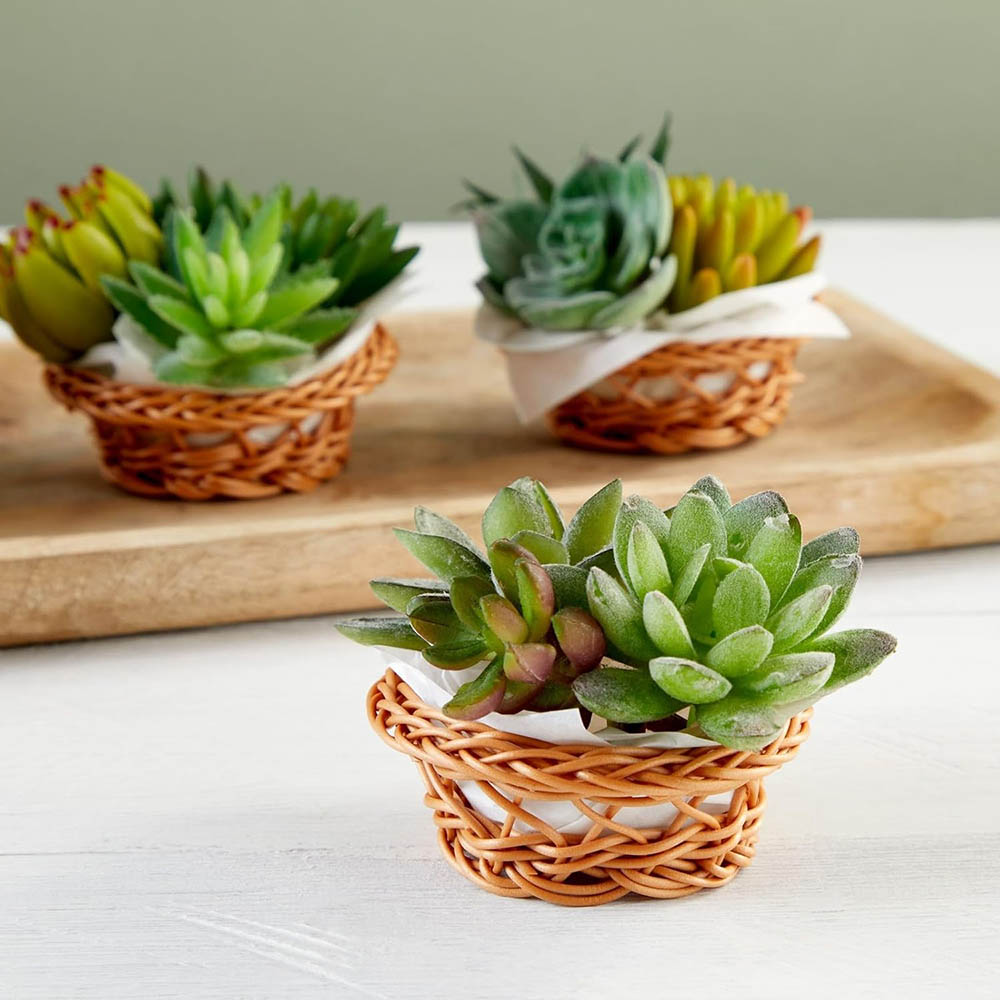 Mini Geweven Mandjesset - 3,1  - Woven Basket Set recensie en prijs